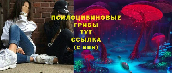 гашик Армянск