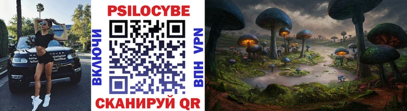 Псилоцибиновые грибы Psilocybe купить наркотики цена Усть-Катав